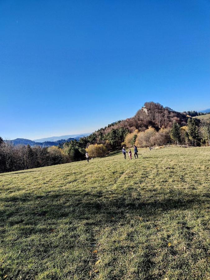 Domek Na Berechu Domek W Gorach-Pieniny Villa Szlachtowa Kültér fotó